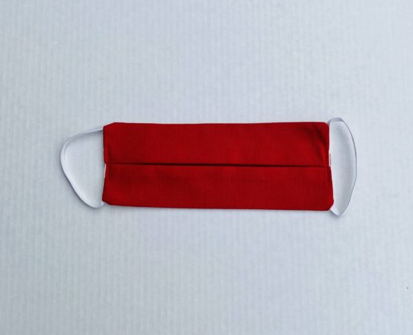 Washable Pleated Face Mask-2 pack