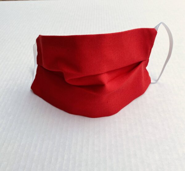 Washable Pleated Face Mask-2 pack