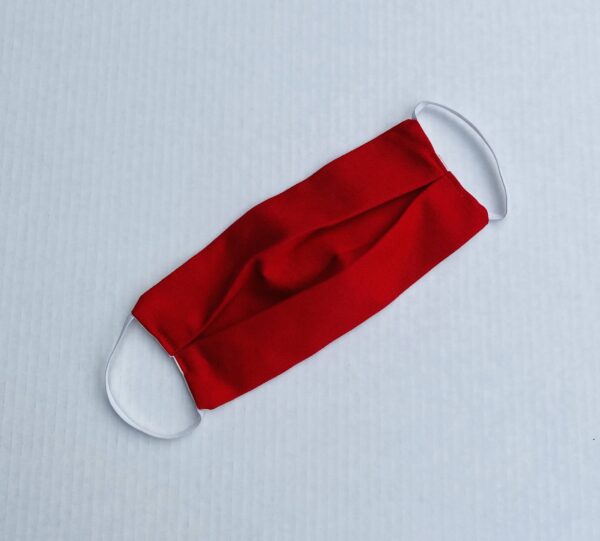 Washable Pleated Face Mask-2 pack